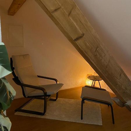 Eine Schoene Wohnung An Der Birs Basel Exterior foto