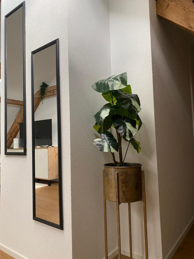 Eine Schoene Wohnung An Der Birs Basel Exterior foto