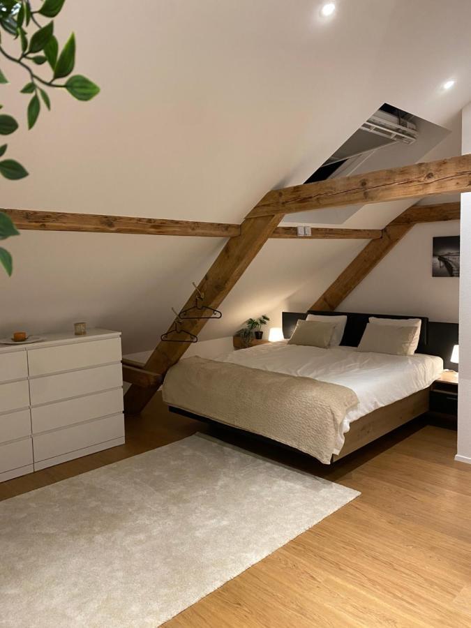 Eine Schoene Wohnung An Der Birs Basel Exterior foto