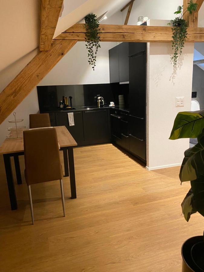 Eine Schoene Wohnung An Der Birs Basel Exterior foto